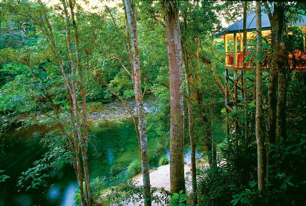 Silky Oaks Lodge Mossman Экстерьер фото